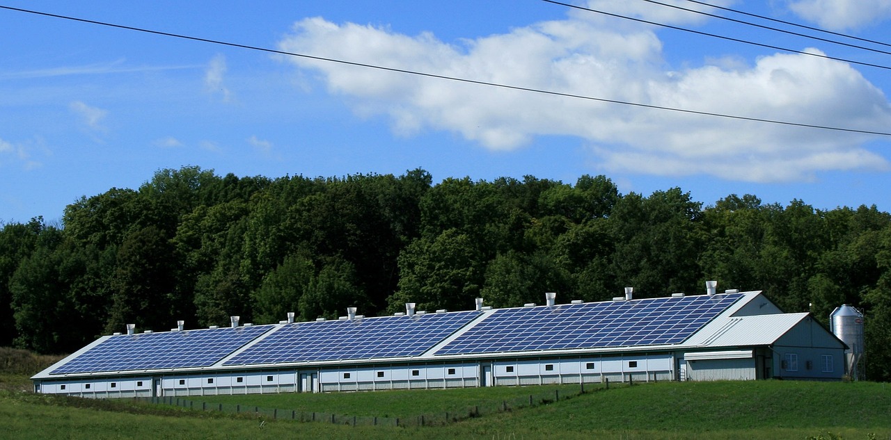 Panneaux solaires pour les entreprises